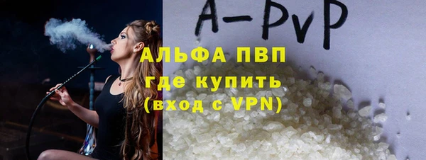 стаф Арсеньев