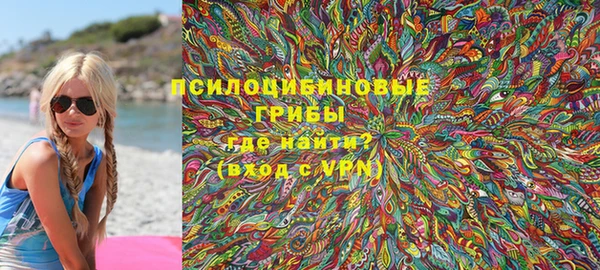 стаф Арсеньев