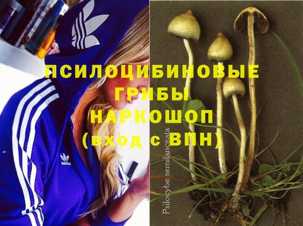 гидра Аркадак