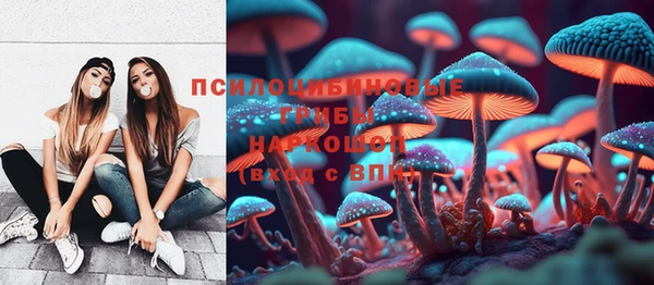 гидра Аркадак