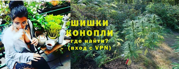стаф Арсеньев