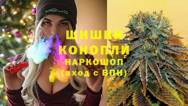 гидра Аркадак