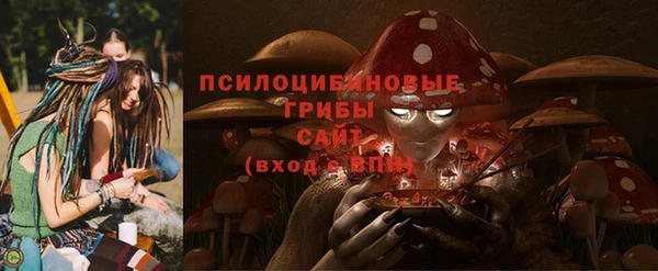 стаф Арсеньев